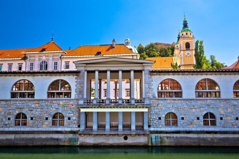 ljubljanska tržnica | Avtor: Profimedia
