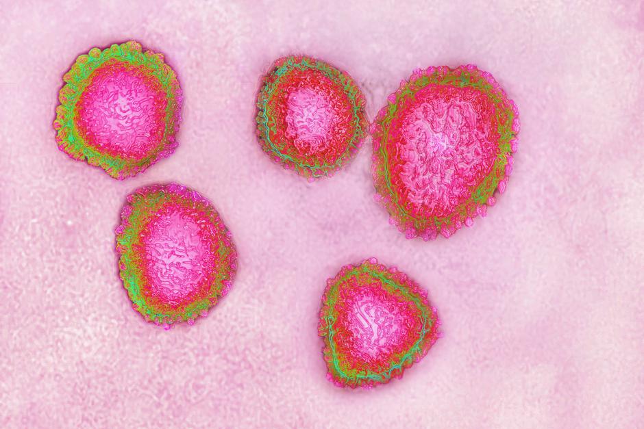 Koronavirus covid-19 | Avtor: Profimedia