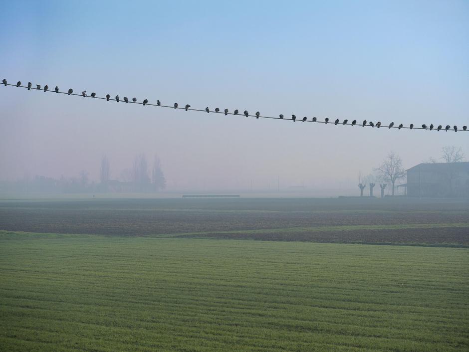 mraz jutro vreme megla | Avtor: Profimedia