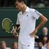 Jerzy Janowicz Wimbledon polfinale