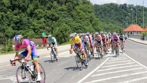 Radoslav Rogina, rumena majica, Dirka po Sloveniji
