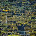 borussia dortmund navijači