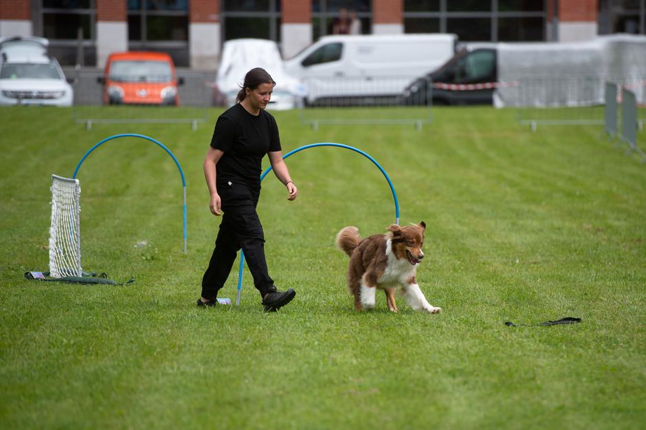 Festival za ljubitelje živali 2023 | Avtor: Anže Petkovšek