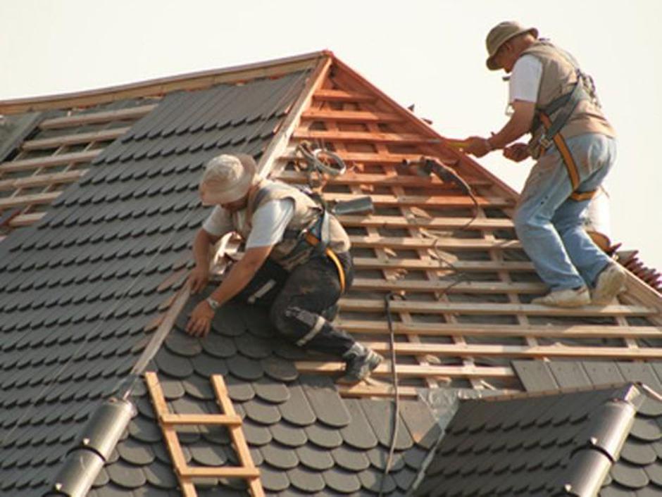 krovec
 | Avtor: Žurnal24 main