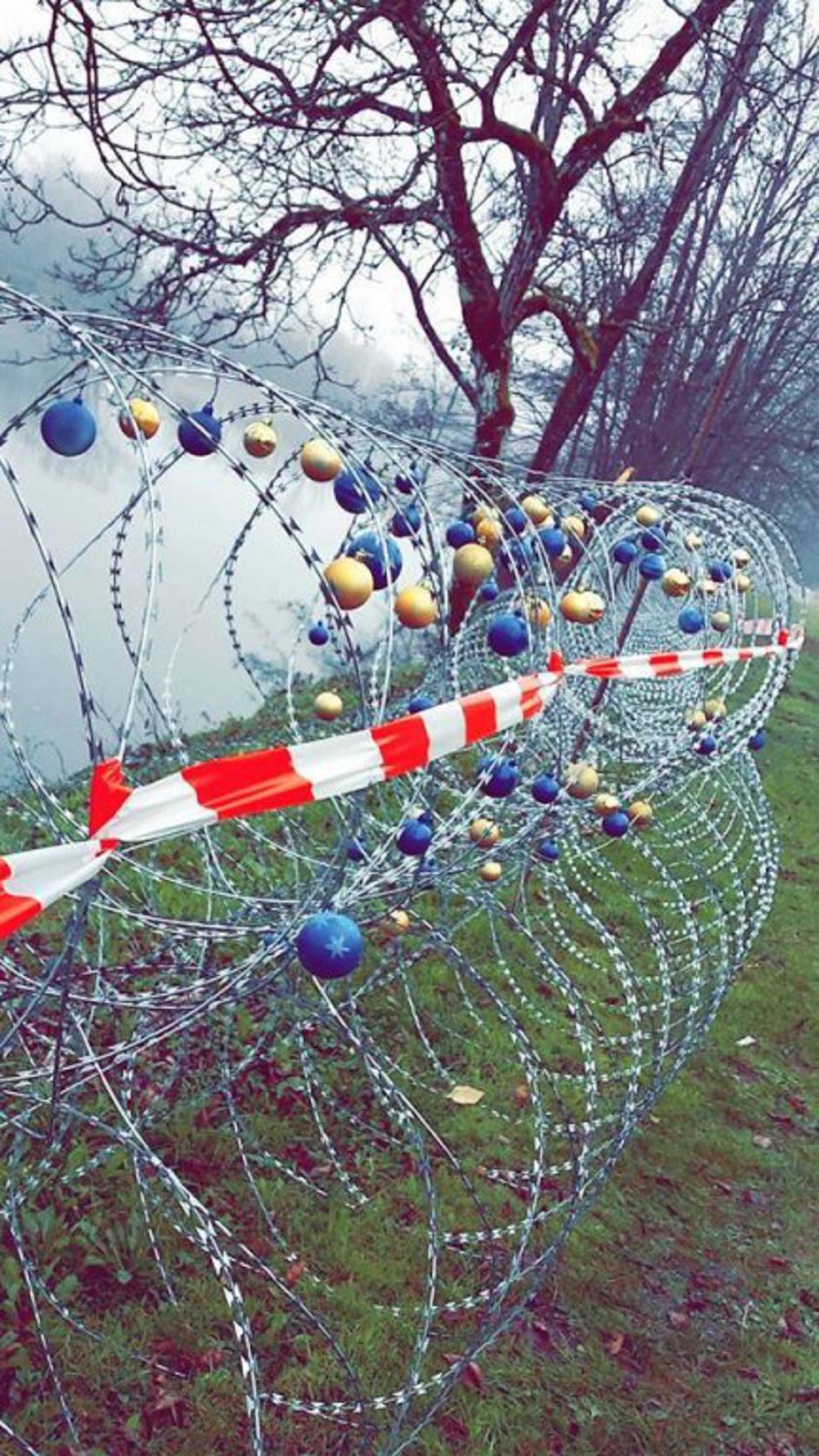 Bela Krajina / Žica | Avtor: Žurnal24 main