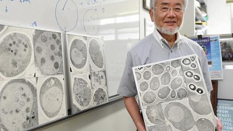 Nobelova nagrada za medicino