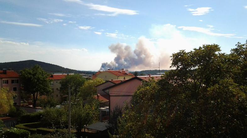 Požar v bližini Petrinj pri Kozini.