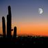 Phoenix Arizona
