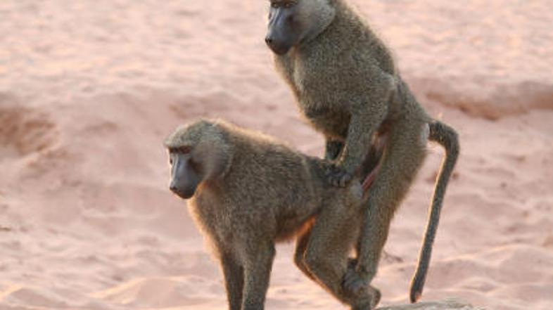 Zaljubljenca se nista ozirala na okolico in sta si dala duška.