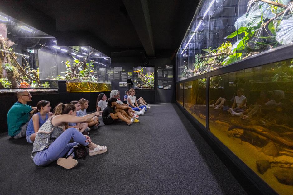 Neotropica | Avtor: Neotropica