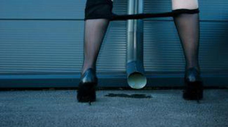 Lužice ni mogoče ukrasti.