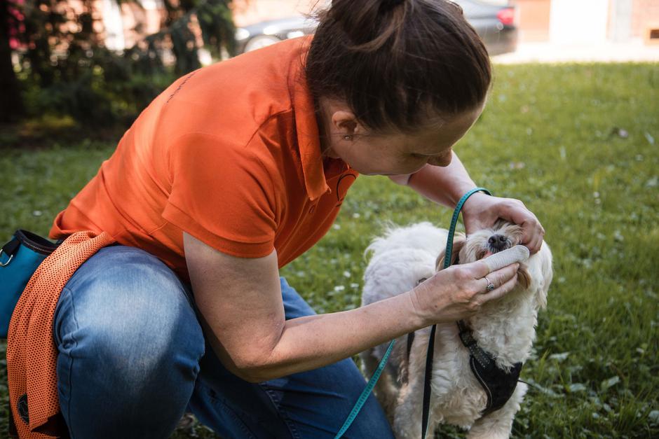 Festival za ljubitelje živali 2025 | Avtor: Cimet Studio