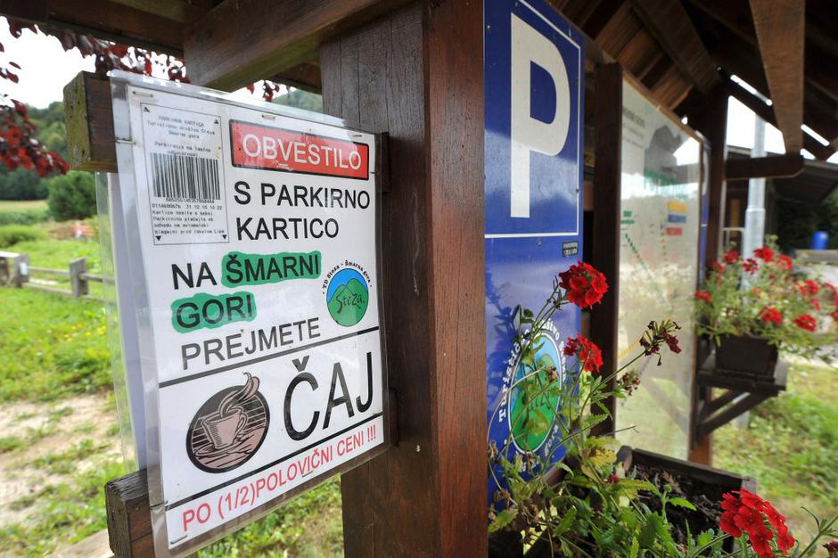 Lipa | Avtor: Anže Petkovšek