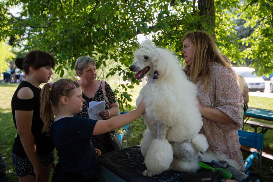sejem | Avtor: Anže Petkovšek