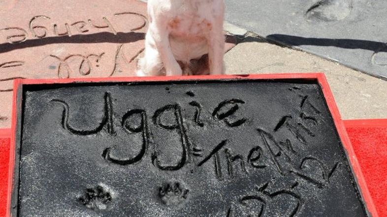 Uggie