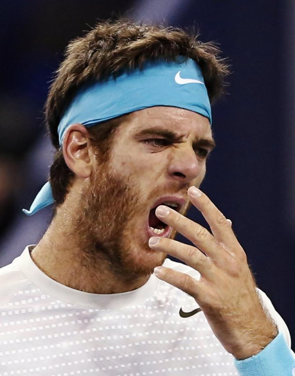 juan martin del potro | Avtor: Reuters