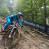 UCI DH World cup Maribor