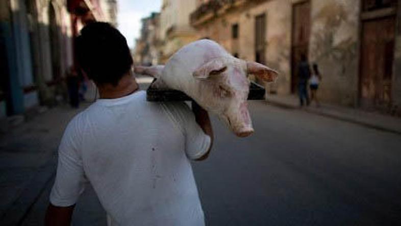 Mnogi Kubanci so v čast revoluciji zaklali prašiča.