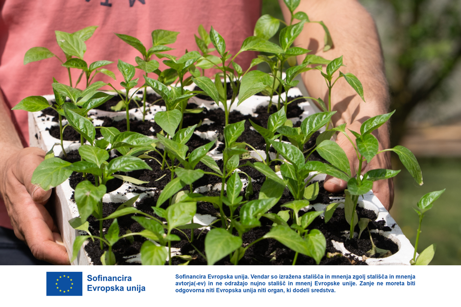 prehranska samozadostnost sadike kmetija | Avtor: Jože Glažar