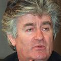 Karadžić je po aretaciji opozarjal, da so mu nezakonito odvzeli nekatere stvari.