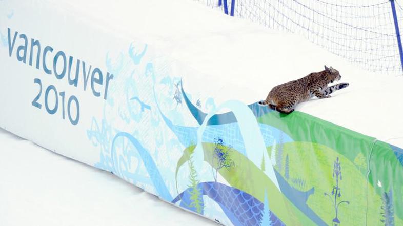 olimpijske igre whistler ris