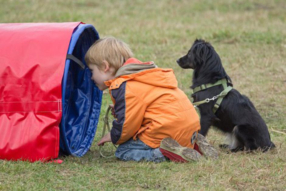 Pes in otrok | Avtor: Profimedias