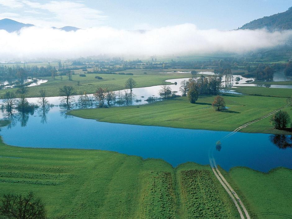 Planinsko polje | Avtor: foto arhiv Občine Postojna