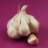 (Foto: Shutterstock)