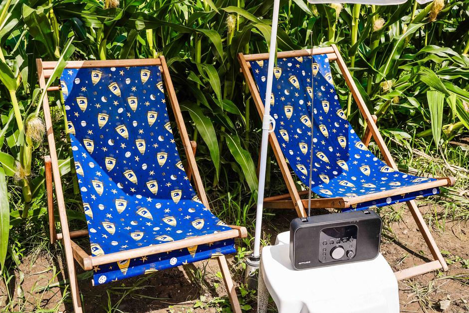 koruzni labirint Krtina | Avtor: Saša Despot