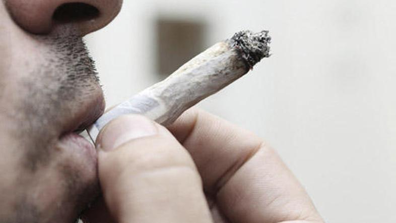 Trava, ki je danes na tržišču, v nasprotju s tisto v 70. letih, ki je samo omami