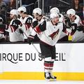 arizona coyotes