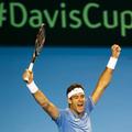 Juan Martin del Potro Davisov pokal 