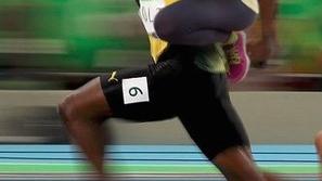 degeneres bolt