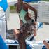 Kelly Rowland