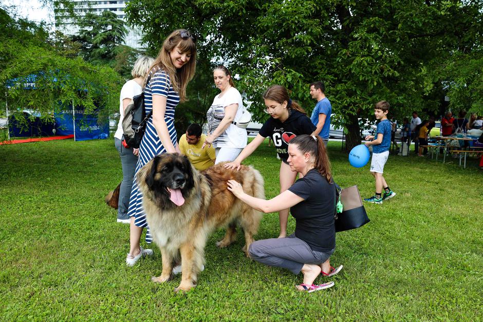 Festival za ljubitelje živali 2023 | Avtor: Saša Despot