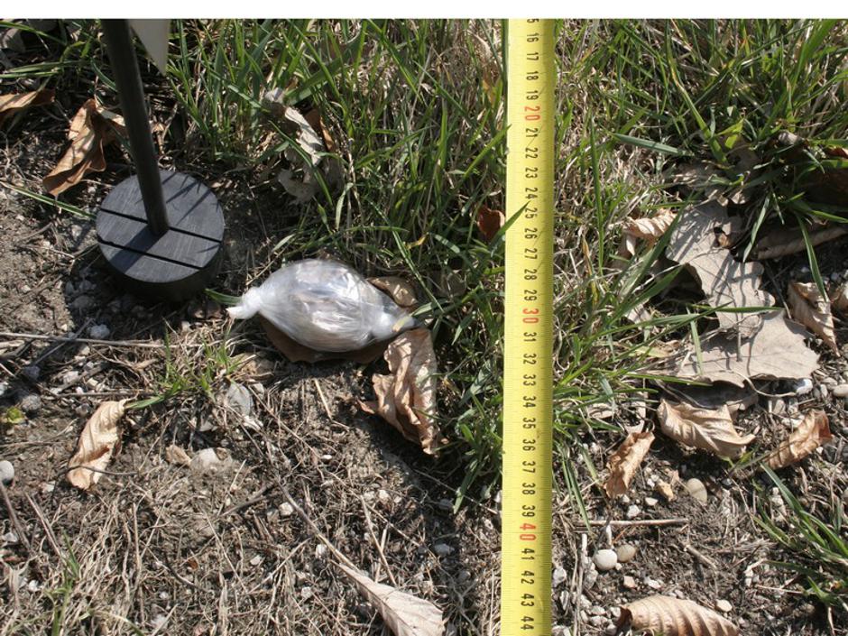  | Avtor: Žurnal24 main