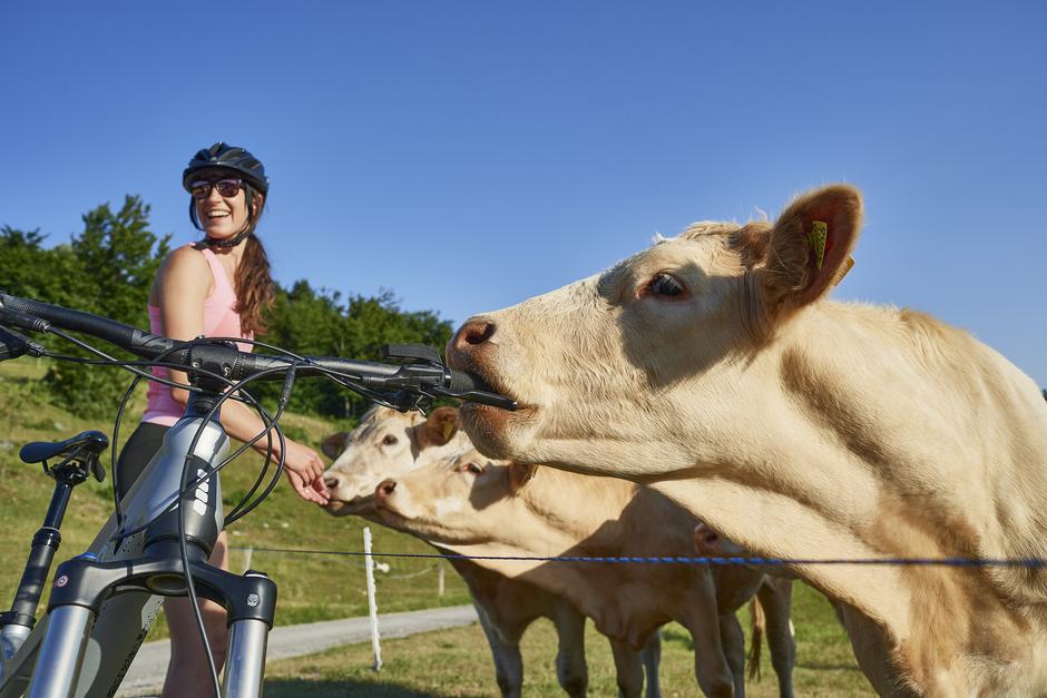 Sinji vrh | Avtor: Zavod za turizem Nova Gorica in Vipavska dolina