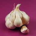 (Foto: Shutterstock)