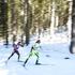 Biatlon, Pokljuka, zasledovalna tekma