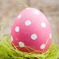 (Foto: Shutterstock)