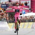 Vingegaard