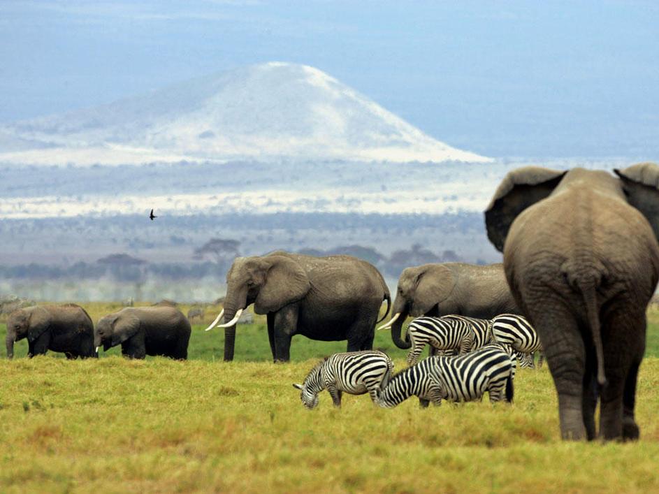 Narodni park Amboseli, Kenija