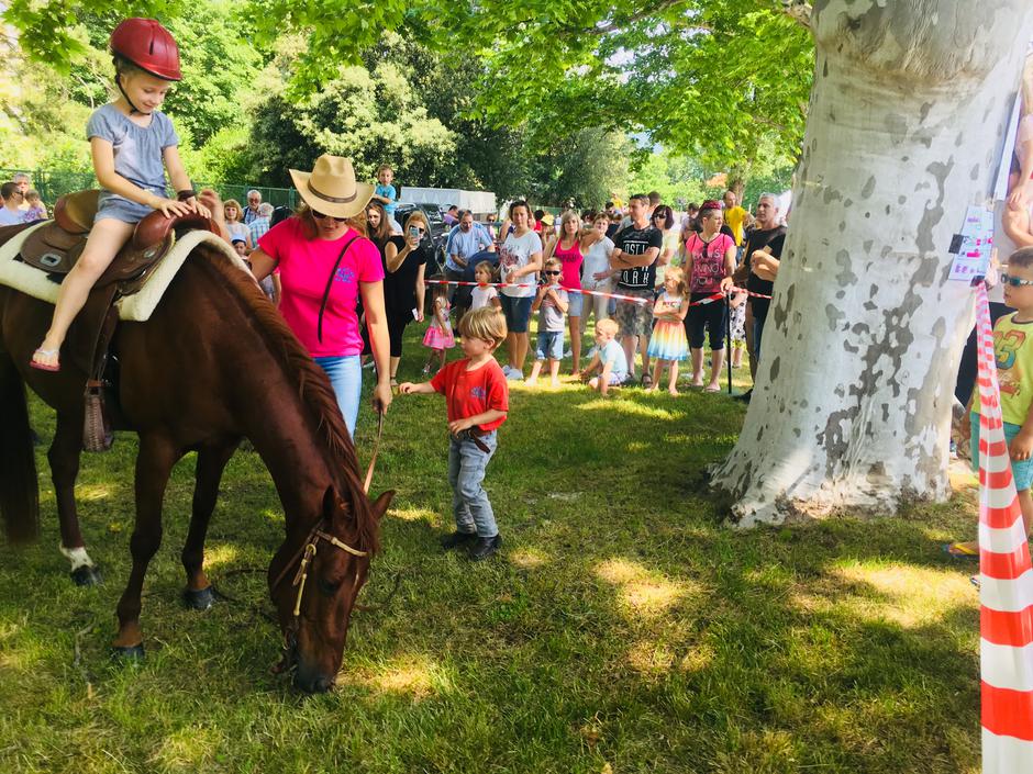 Festival za ljubitelje živali | Avtor: A. Š.
