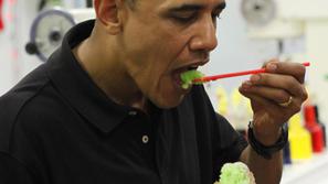 Barack Obama, hrana, prehrana, Kailua