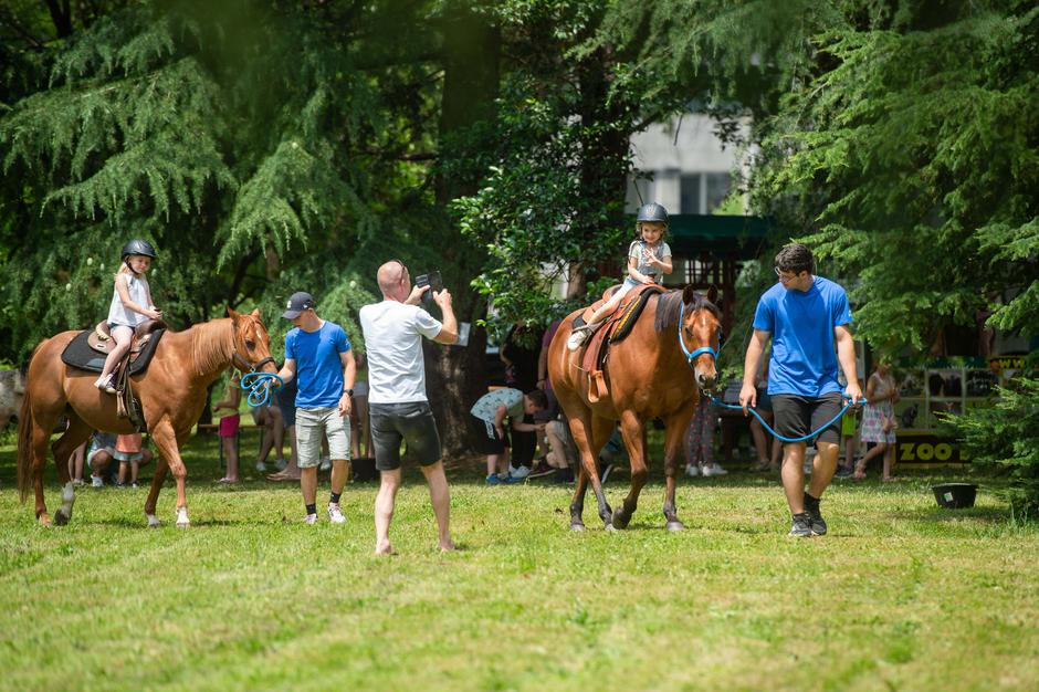 Festival za ljubitelje živali 2023 | Avtor: Anže Petkovšek