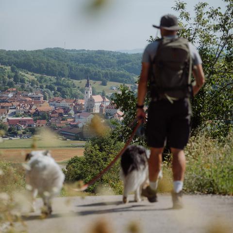 TZ Zagorje