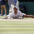 Novak Đoković Wimbledon finale