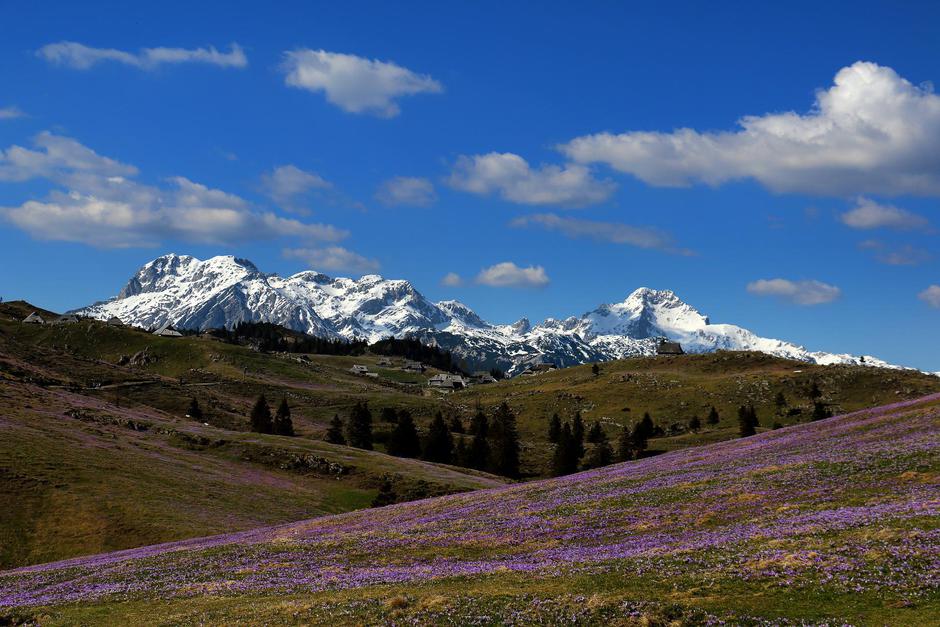 Velika planina | Avtor: Pixabay