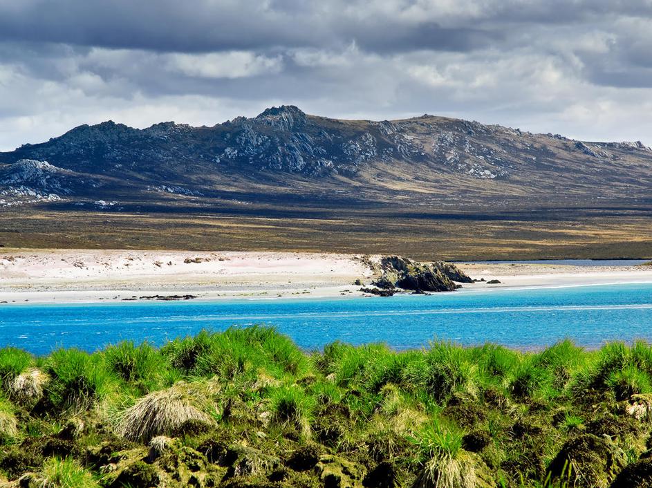 Falklandski otoki
