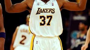 gobezdači NBA Ron Artest